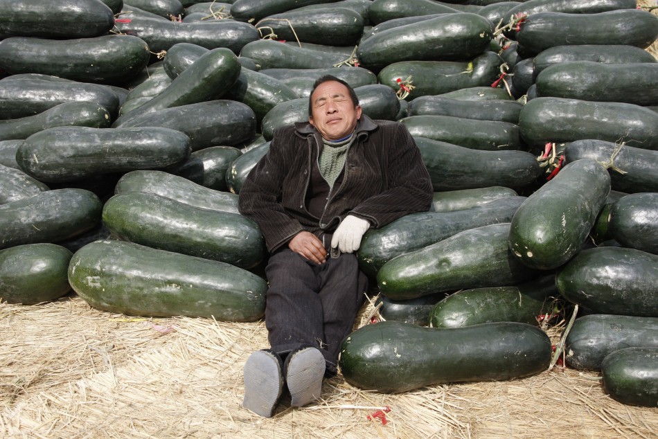 80317-a-vendor-selling-chinese-watermelons-takes-a-nap-at-a-wholesale-market.jpg