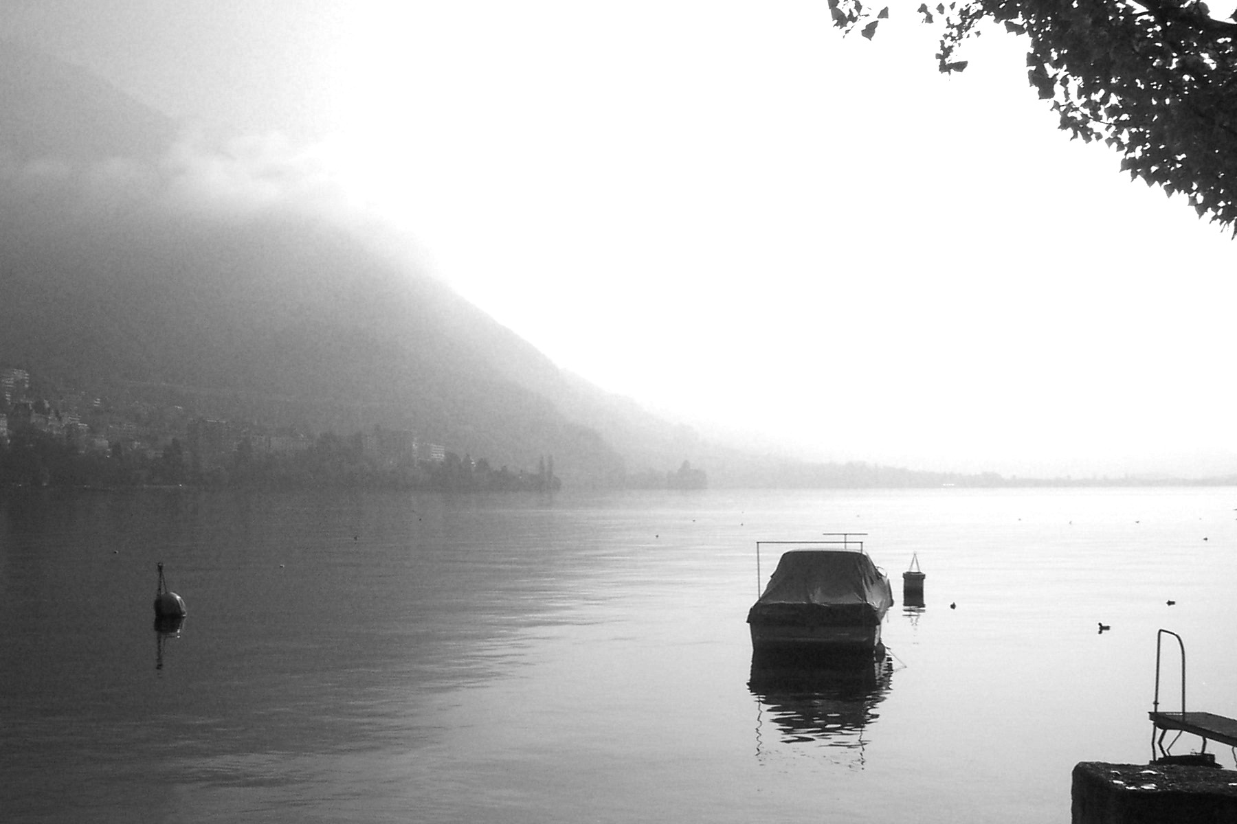 Geneva lake black and white.JPG